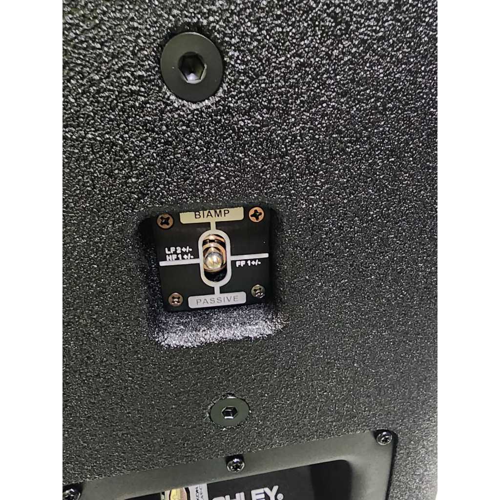 Speaker Pasif Ashley T24Fs / T24 FS / T 24FS – Ferrite Magnet Version 12Inch ( 1 Unit )