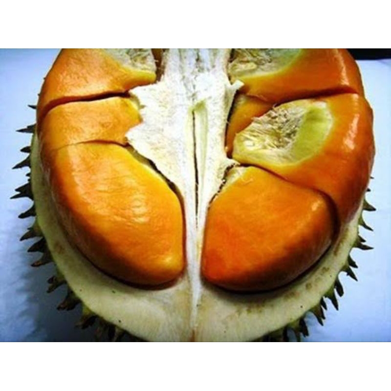 

Buah durian lai manis kalimantan 1buah 1kg/ buah lai kalimantan manis 1buah 1kg