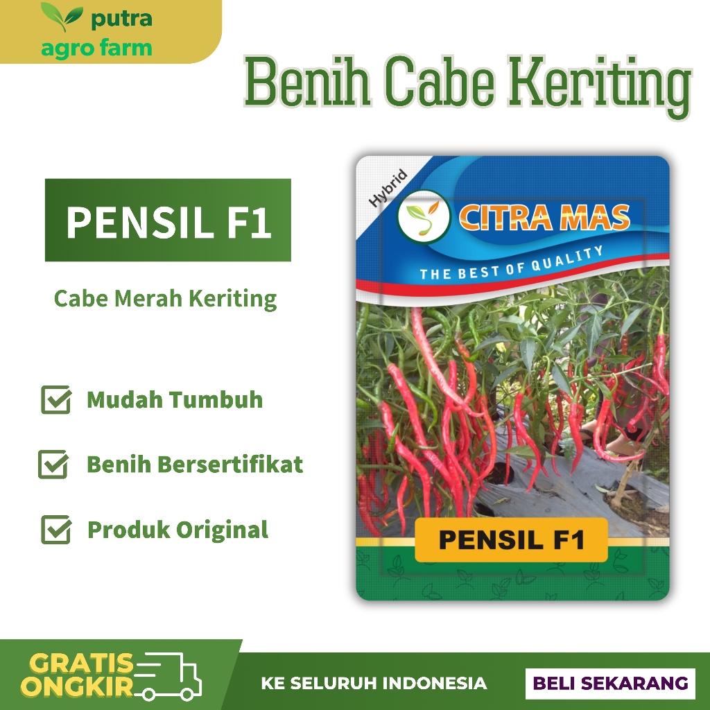 Benih Cabai Cabe Keriting Hibrida PENSIL F1 Citra Mas isi ±10 gram