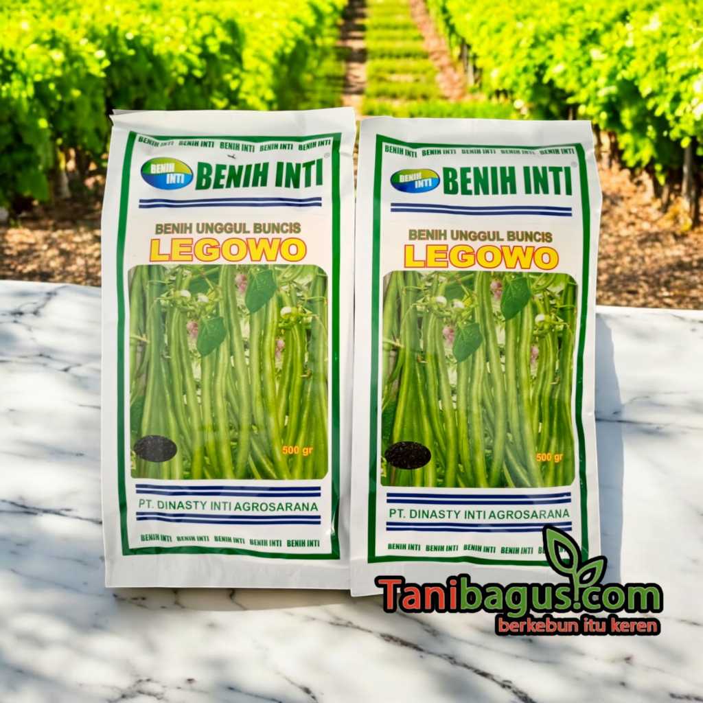 Benih Unggul Buncis LEGOWO 500 Gram - Benih Inti