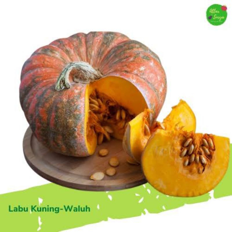benih labu/waluh kuning madu 25 biji superan bibit unggul