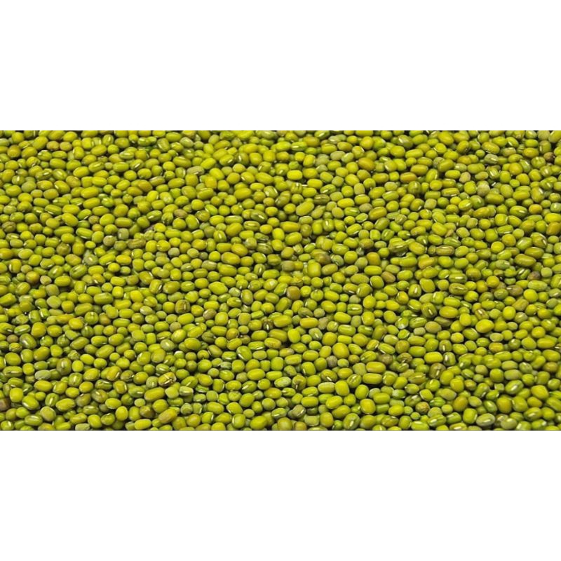

KACANG HIJAU 1 KG