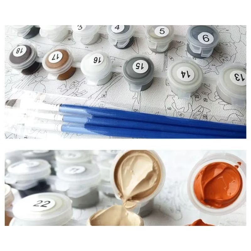 

TERBARU Painting By Number Lukisan Kanvas Ukuran 40x50cm RB9