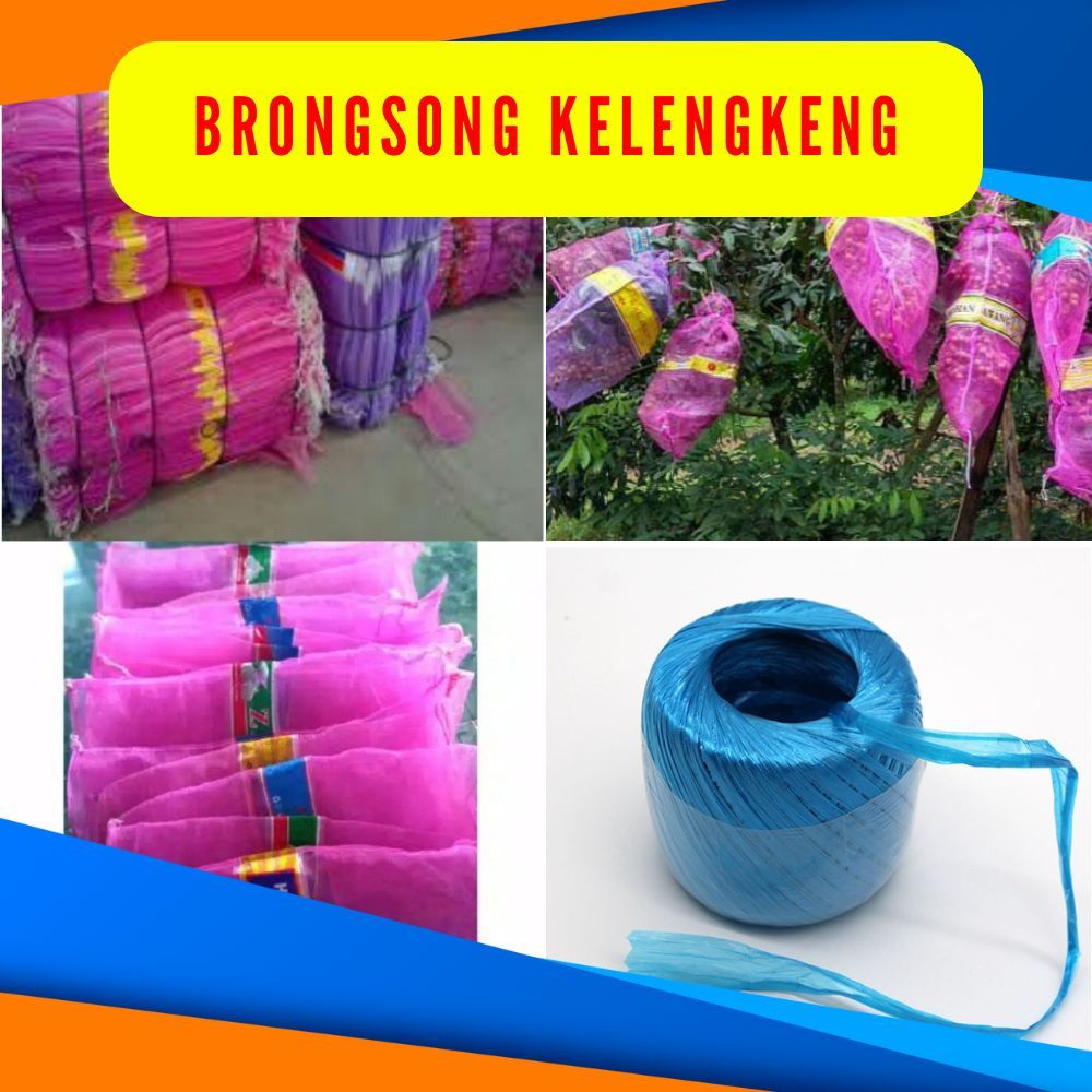 TERLARIS. 10PCS Brongsong Buah Kelengkeng, Brongsong Kelengkeng Dengan Tali
