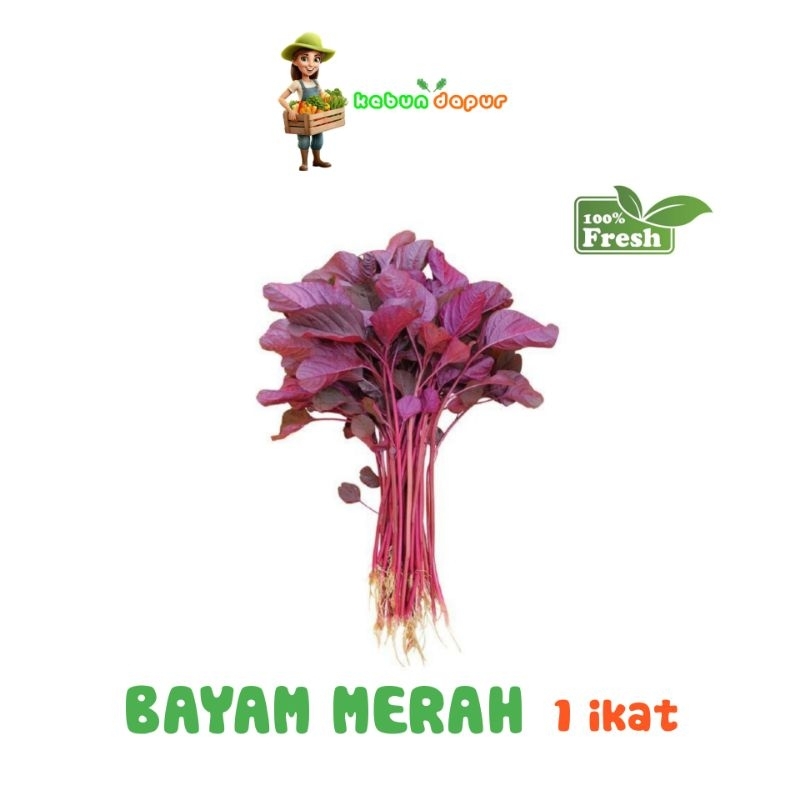 

BAYAM MERAH FRESH Harga per 1 ikat/pack