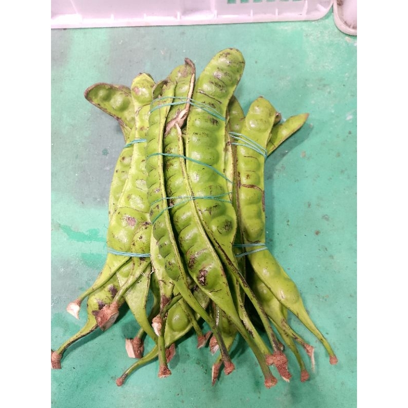 

Pete pendek Wonogiri paketan isi 7