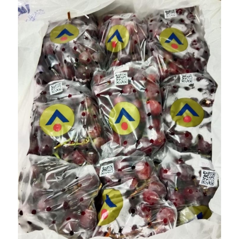 

Indukbuah Buah Anggur Red Peru 1 Keranjang 8kg