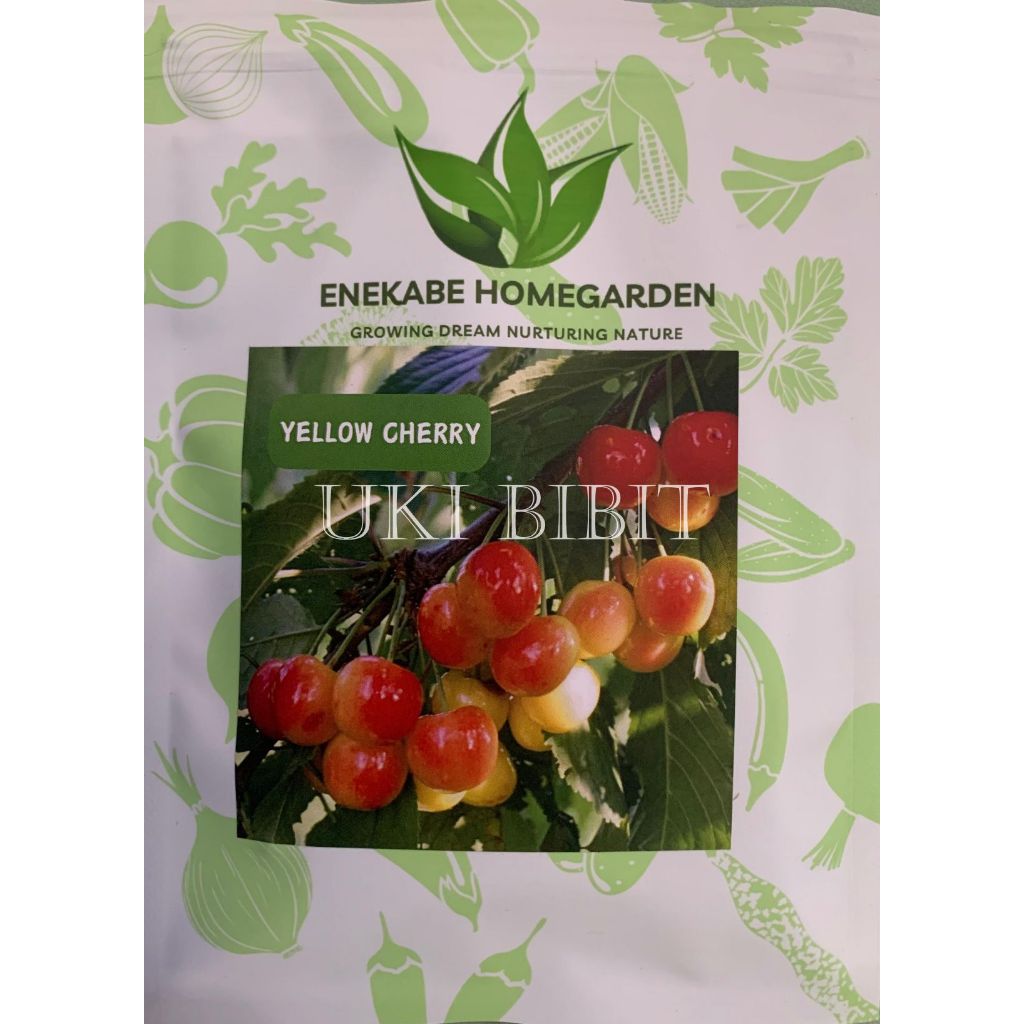 Kemasan Original | Benih Biji Buah Cherry | Red Cherry| Black Cherry | Yellow Cherry | Ceri Hitam | 