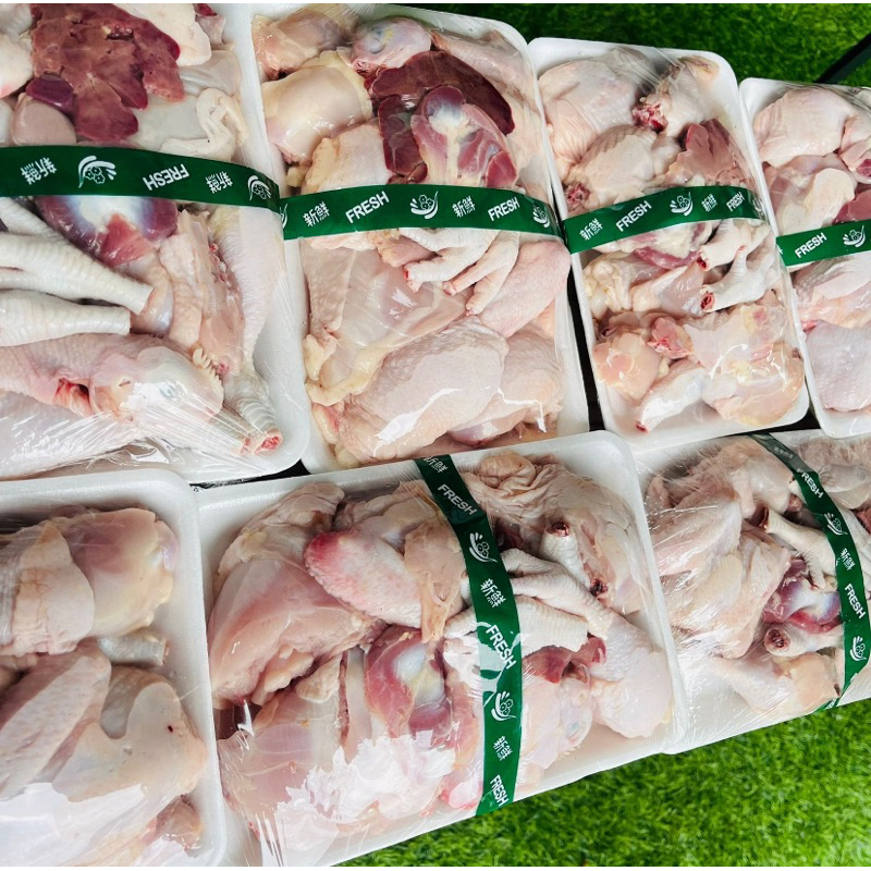 

Ayam potong fresh boiler