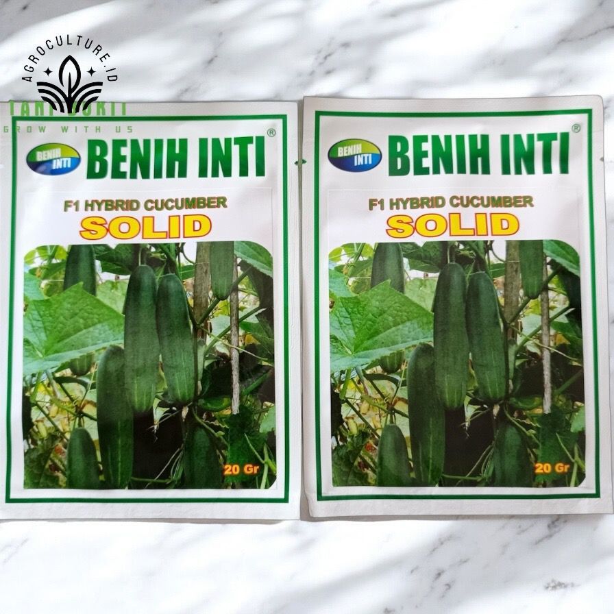 BENIH TIMUN F1 HYBRIDA SOLID 20 GRAM - BENIH INTI