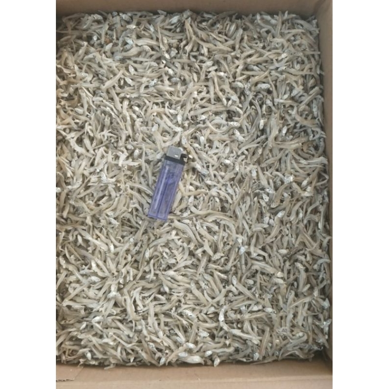 

Teri Kecil sekilo 120rb ( 1000 gram )