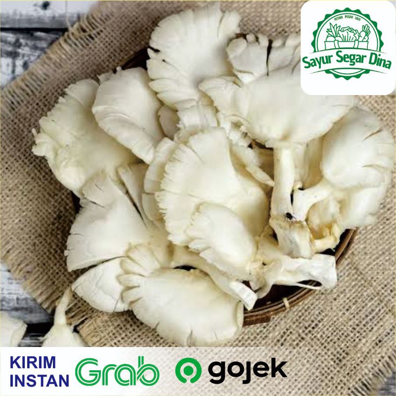 

Jamur Tiram - Berat 500 gr