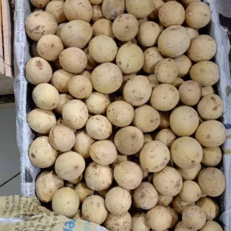 

Duku Palembang Manis