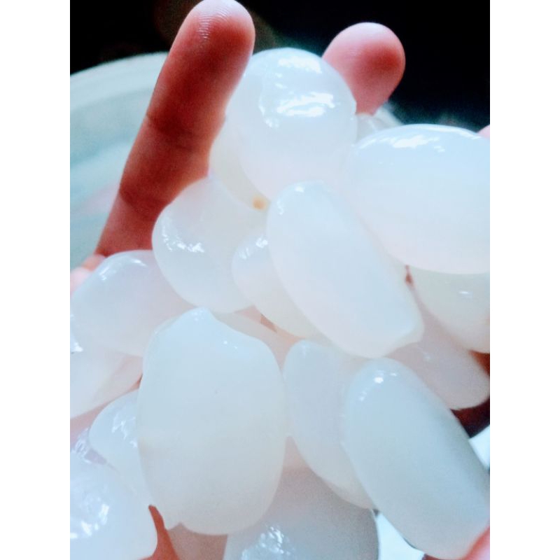 

kolang Kaling fresss baru_cangkaleng (caruluk)/1kg