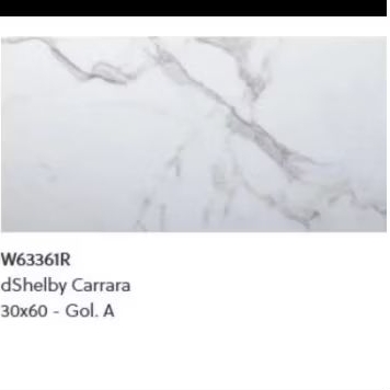 Roman Keramik W63361R dShelby Carara 30x60 / Keramik Motif Carara /Keramik Motif