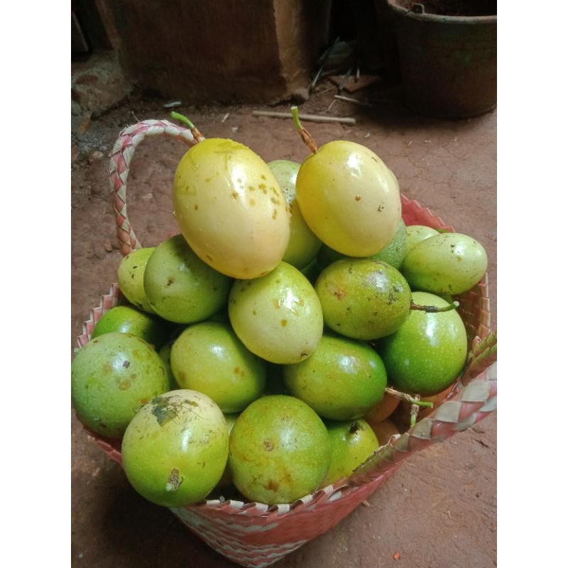 

buah markisa fres segar matang dari pohon di cuci bersih /500gram
