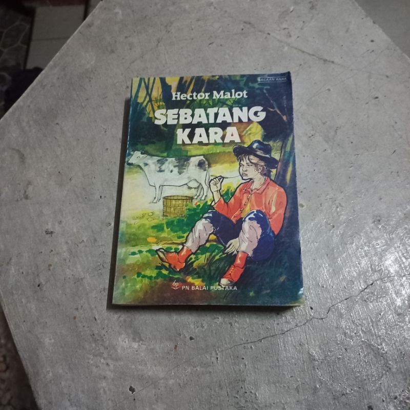 Novel sebatang kara-hector malot