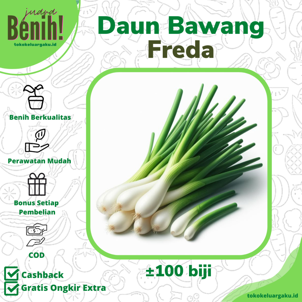 100 Biji - Benih Bawang Daun FREDA - Tumbuh Seragam Dan Lambat Berbunga - Bibit Sayur Sayuran Oncang