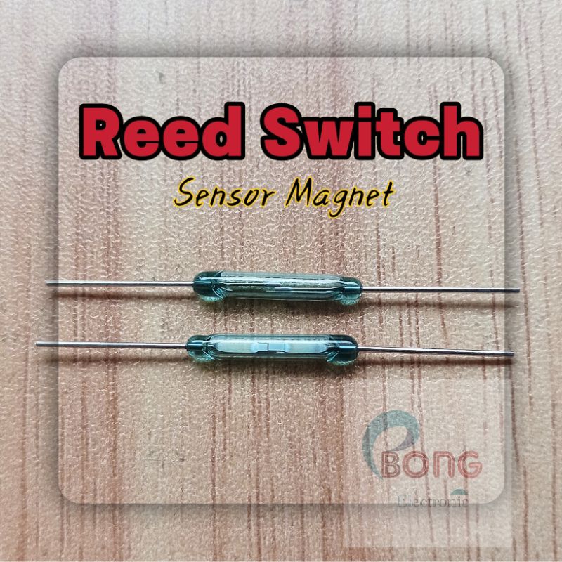 Reed Switch sensor saklar magnet normally Open ( kena magnet ON )