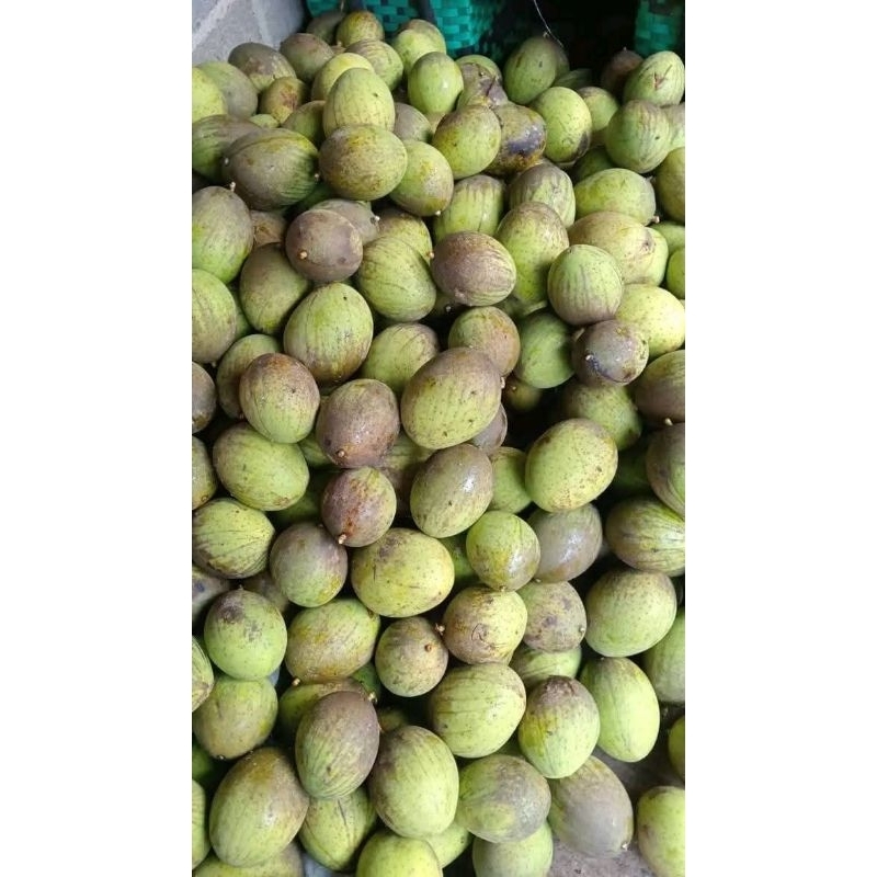 

BUAH PAKEL SEGAR/1 KG