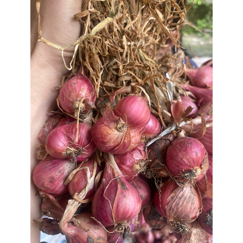

Bawang Merah Besar 1kg