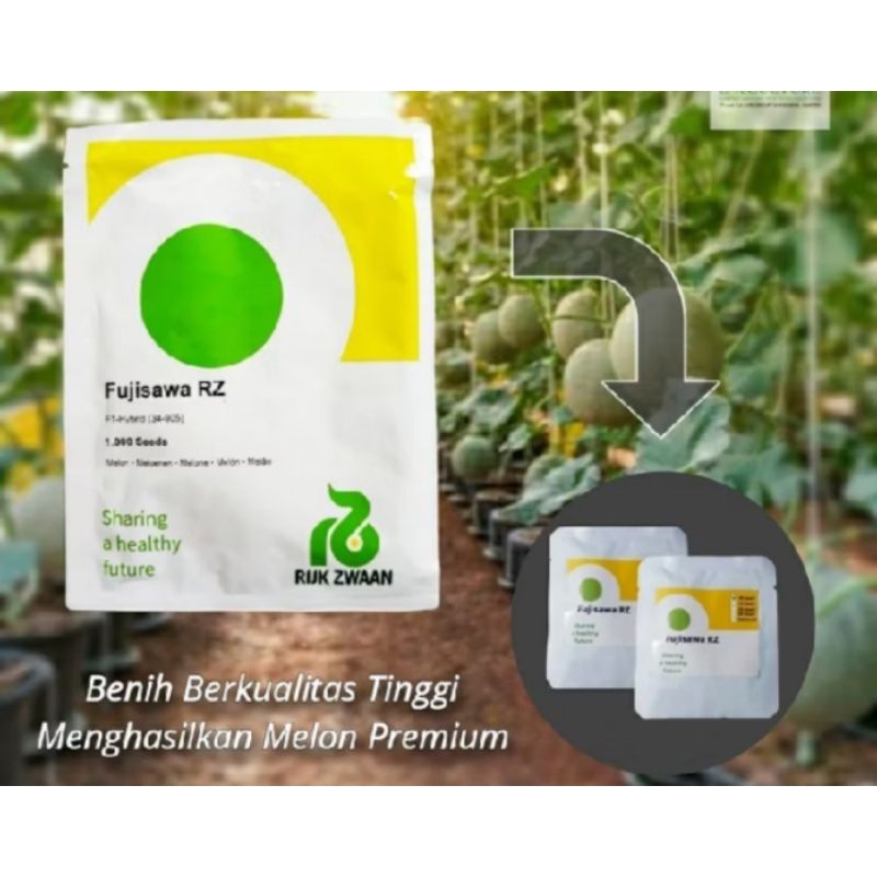 50 Biji Bibit Buah Melon Fujisawa F1 Original