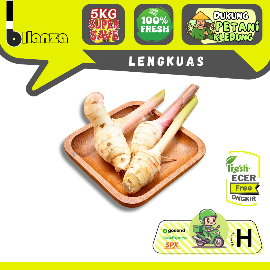 

Bllanza | Lengkuas / Laos — Sahabat Makan Sayur ECER (H)
