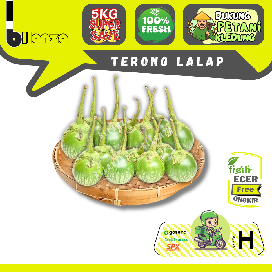 

Bllanza | Terong Lalap Hijau — Sahabat Makan Sayur ECER (H)