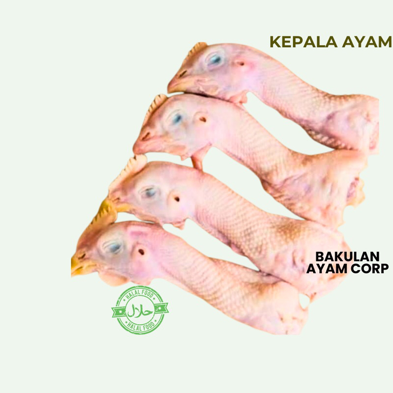 

KEPALA AYAM