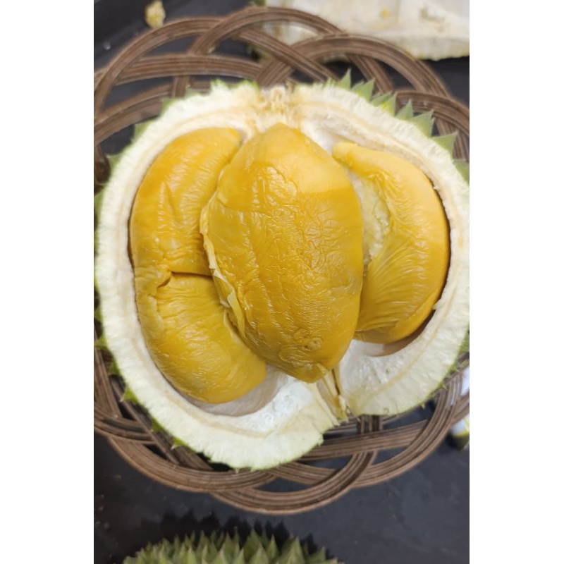 

DURIAN BLACK THORN FROZEN