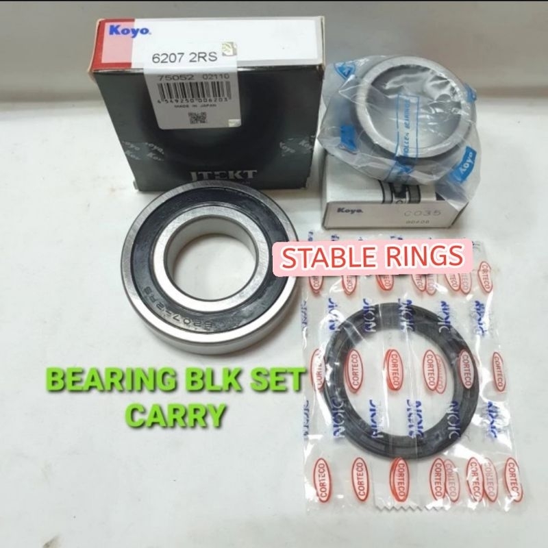 BEARING SET RODA BELAKANG SET CARRY EXTRA BEARING+CONES+SEAL