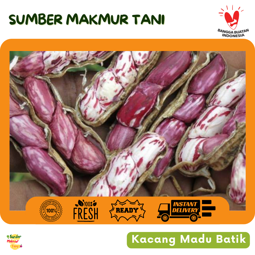 

Kacang Tanah Madu Batik 500 gr / 1 kg Mentah – Renyah, Gurih & Kaya Rasa, Camilan Sehat yang Nikmat