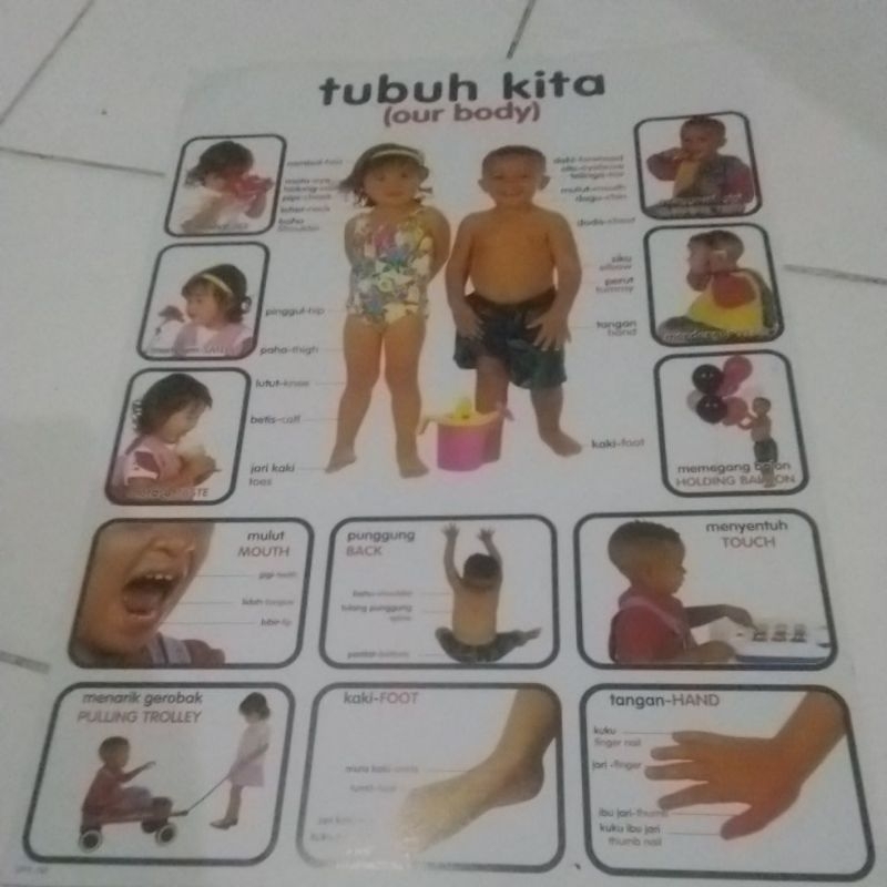 

poster Tubuh kita (our body)