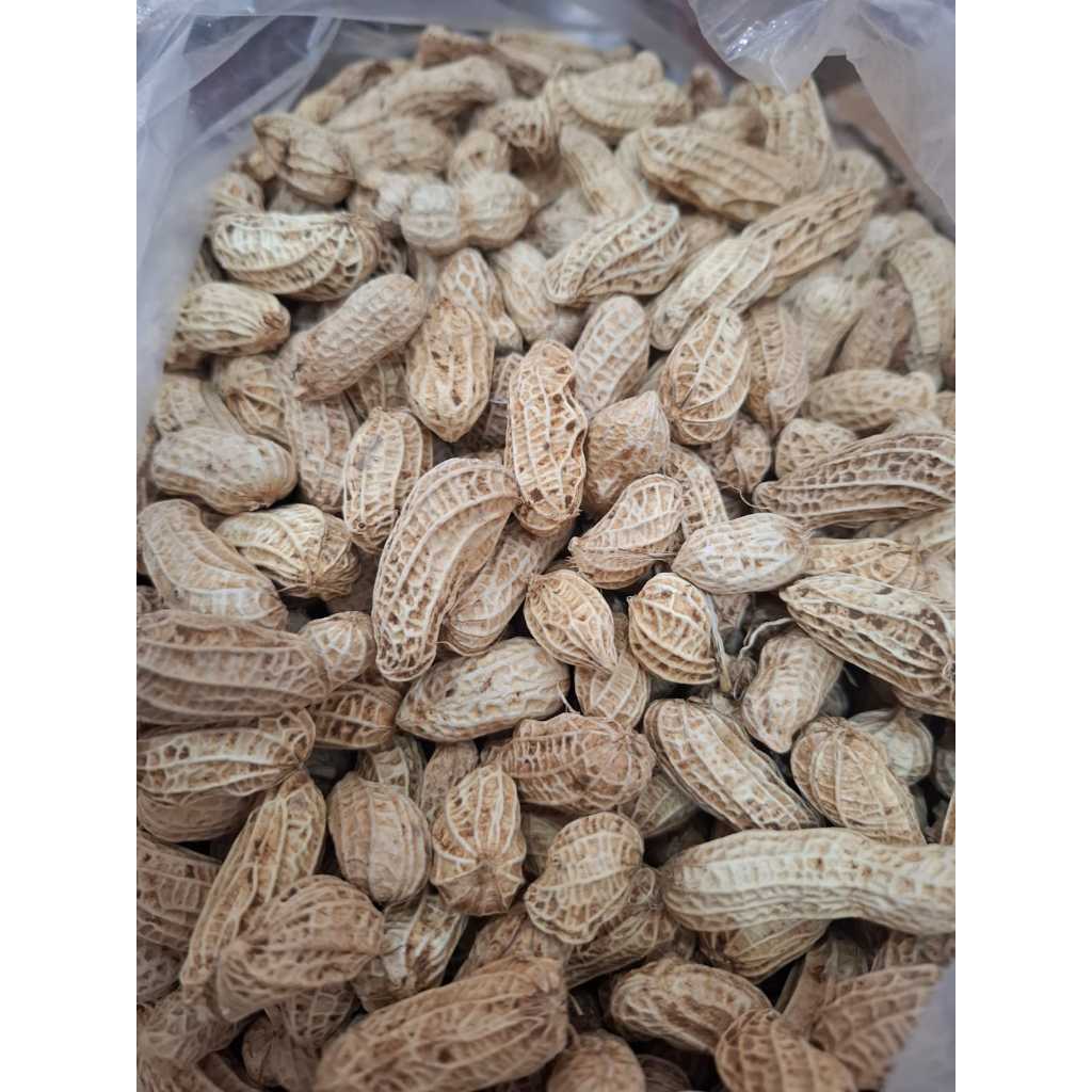 

Kacang Kulit Tanah 500gr