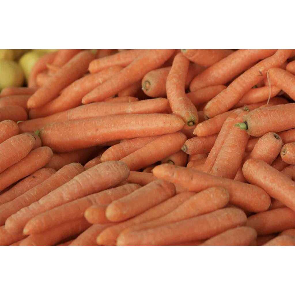 

wortel import segar 500g-1kg (100%Original)