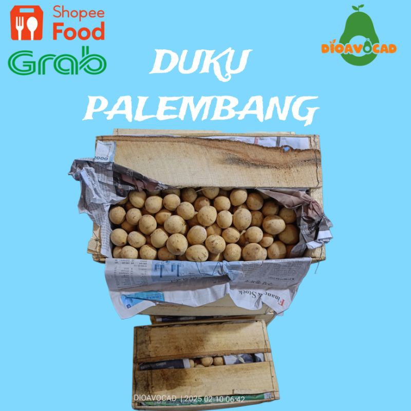 

duku Palembang harga per peti buah duku grosiran
