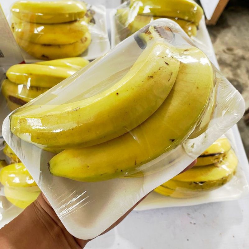 

Buah Pisang Sunpride (2-3 Buah) Paket Hemat