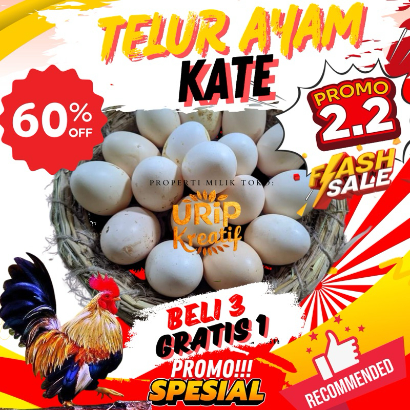 

Telur ayam kate untuk jamu