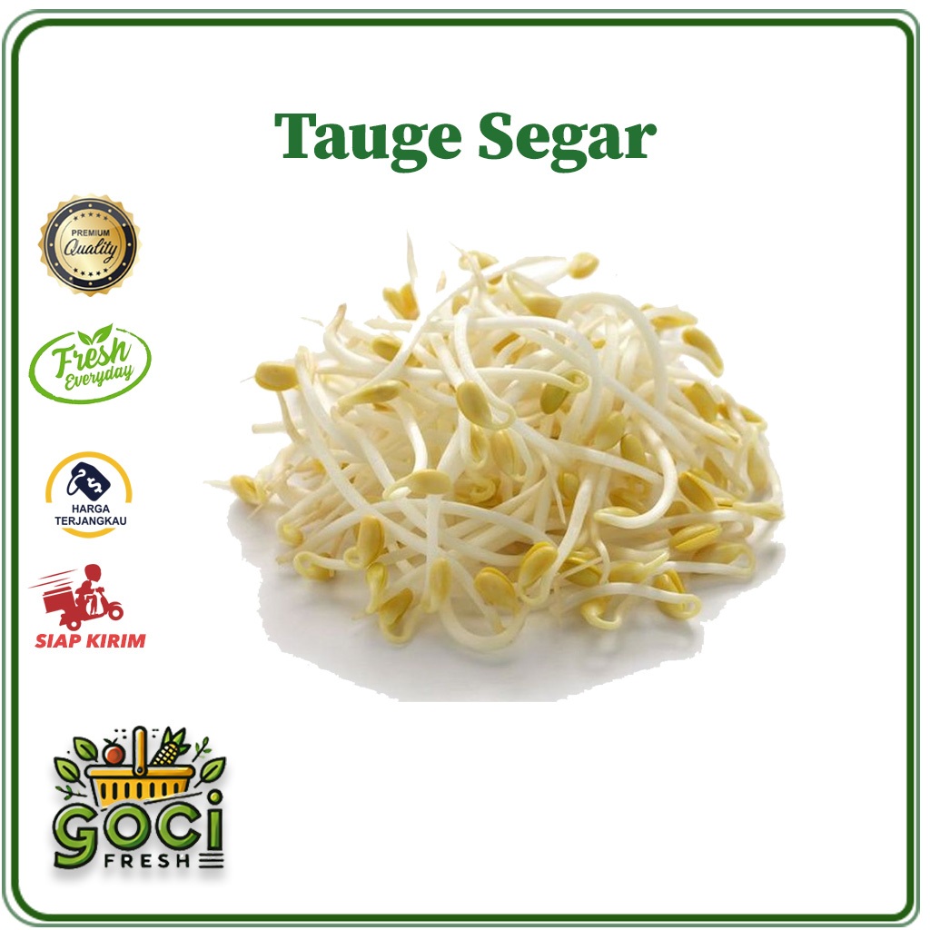 

GOCI FRESH - TAUGE SEGAR 250 GRAM - 1 KG DENPASAR