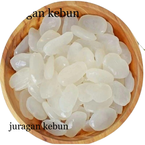 

Kolang kaling segar Kolang kaling super bahan manisan 1kg bersih