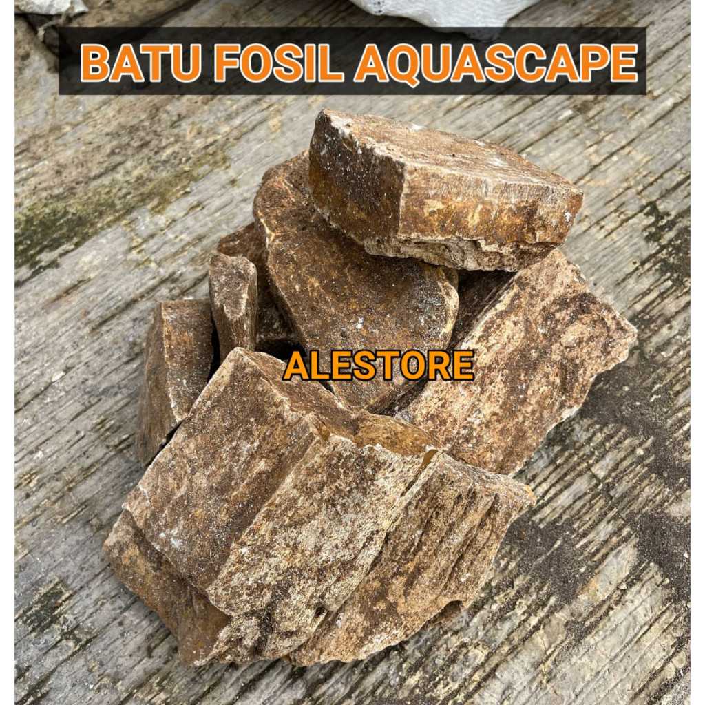 Batu Fosil Kayu Aquarium Batu Aquascape 1kg