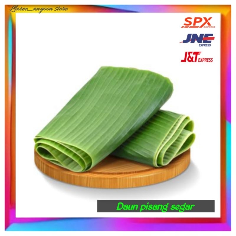 

DAUN PISANG SEGAR/ 1 IKAT per 5 lembar