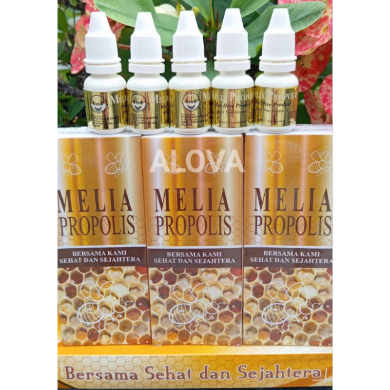 Melia Propolis Original 100% Asli / Propolis Melia Sehat Sejahtera / Melia Propolis 30ml / Propolis 