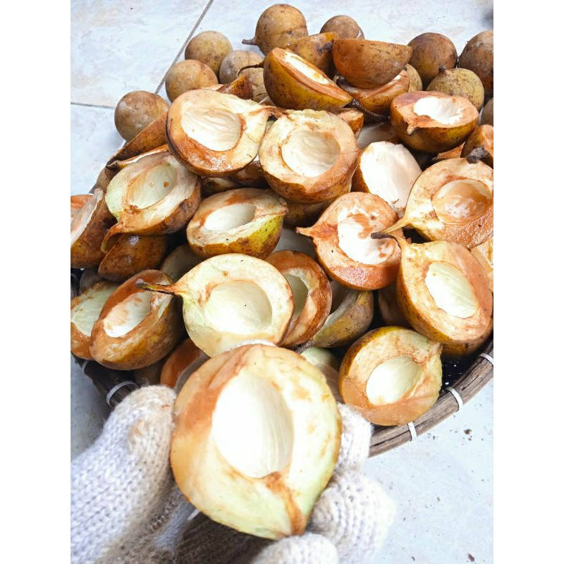 

cangkang pala/daging pala segar langsung dari pohon