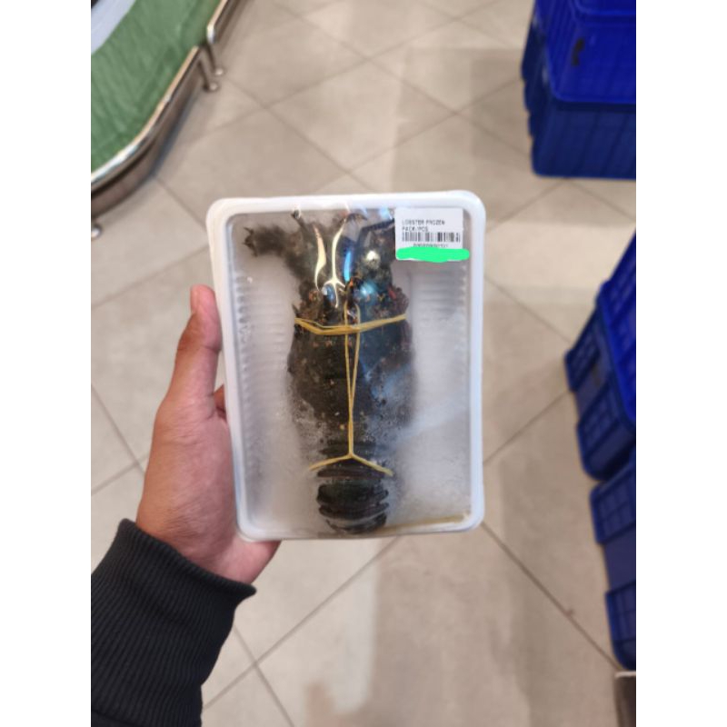 

Lobster Frozen super premium pack