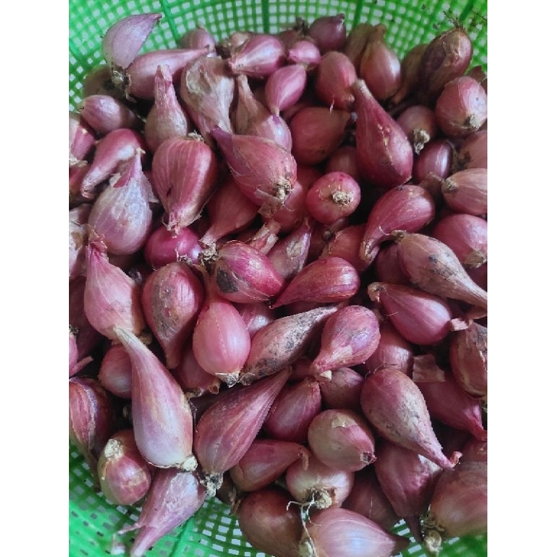 

Bawang merah ukuran sedang campur 1kg