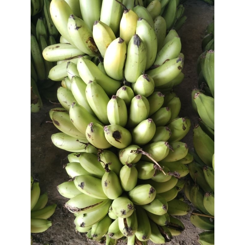 

pisang emas 1kg asli