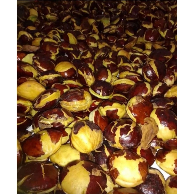 

Jengkol Tua Kupas 1kg