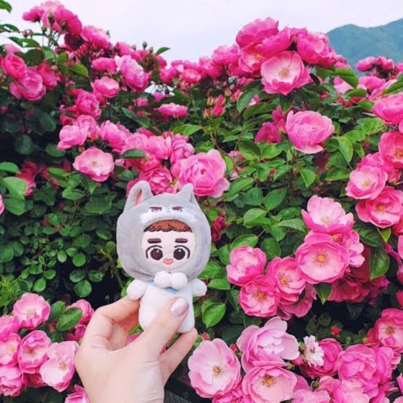 boneka doll d.o. doh kyungsoo jjolamb dyolamb 10 cm