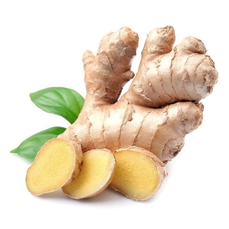 

kunyit putih segar 500gr di ambil langsung bila ada orderan masuk